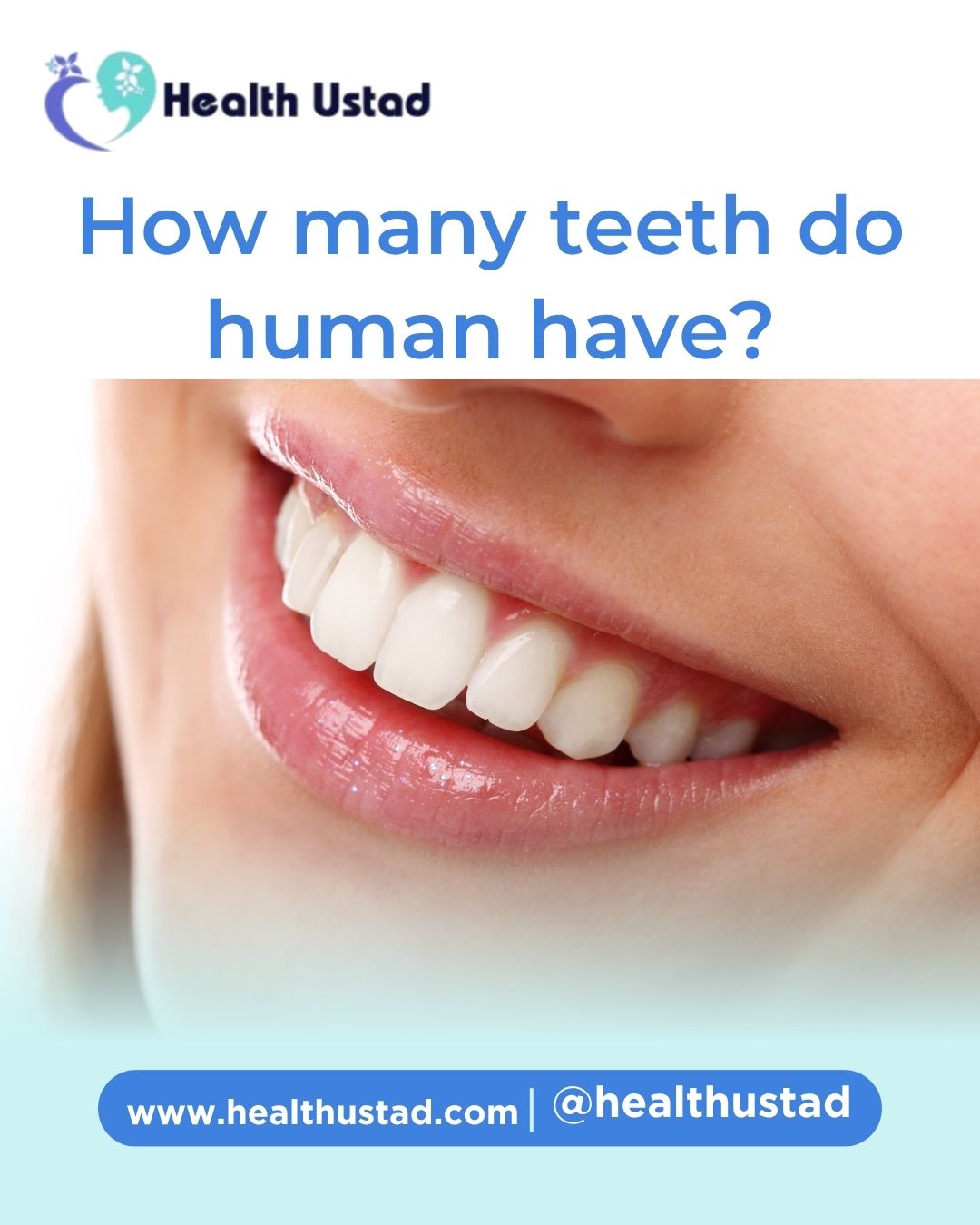 how many teeth do humans have?
